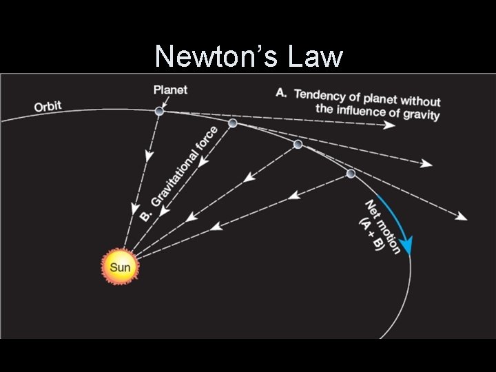 Newton’s Law 