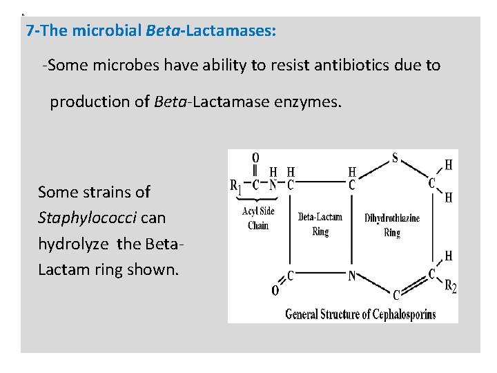 n 7 -The microbial Beta-Lactamases: -Some microbes have ability to resist antibiotics due to