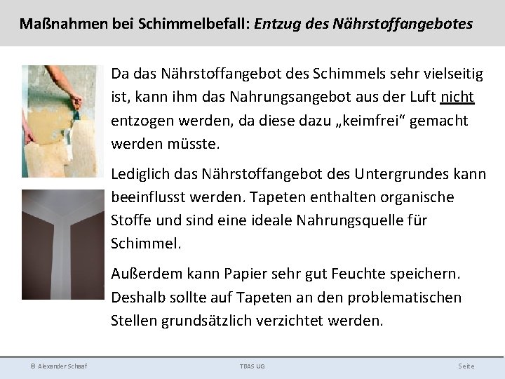 Maßnahmen bei Schimmelbefall: Entzug des Nährstoffangebotes Da das Nährstoffangebot des Schimmels sehr vielseitig ist,