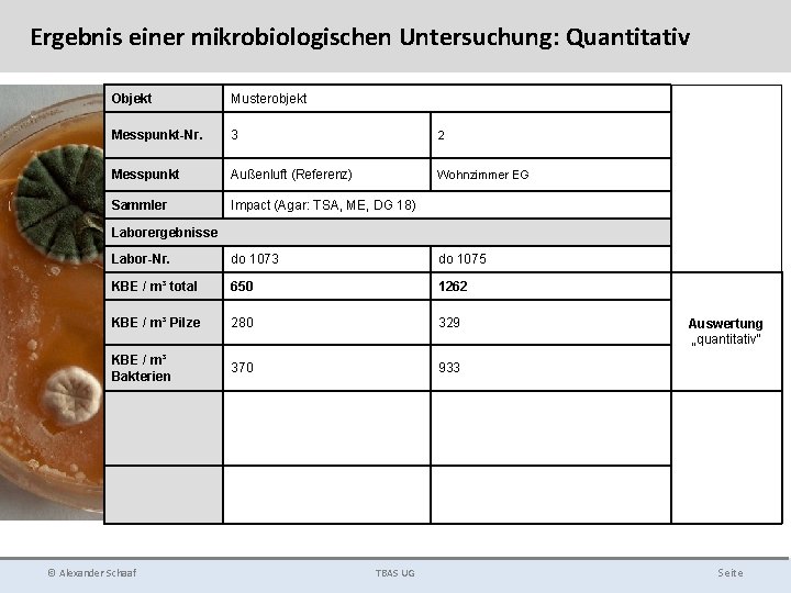 Ergebnis einer mikrobiologischen Untersuchung: Quantitativ Objekt Musterobjekt Messpunkt-Nr. 3 2 Messpunkt Außenluft (Referenz) Wohnzimmer