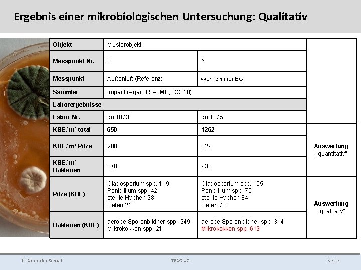 Ergebnis einer mikrobiologischen Untersuchung: Qualitativ Objekt Musterobjekt Messpunkt-Nr. 3 2 Messpunkt Außenluft (Referenz) Wohnzimmer