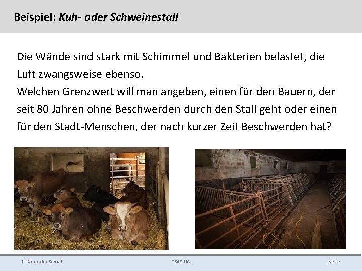 Beispiel: Kuh- oder Schweinestall Die Wände sind stark mit Schimmel und Bakterien belastet, die