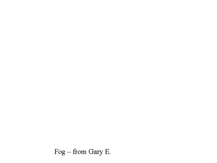 Fog – from Gary E. 