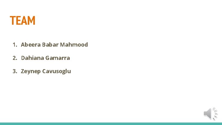 TEAM 1. Abeera Babar Mahmood 2. Dahiana Gamarra 3. Zeynep Cavusoglu 