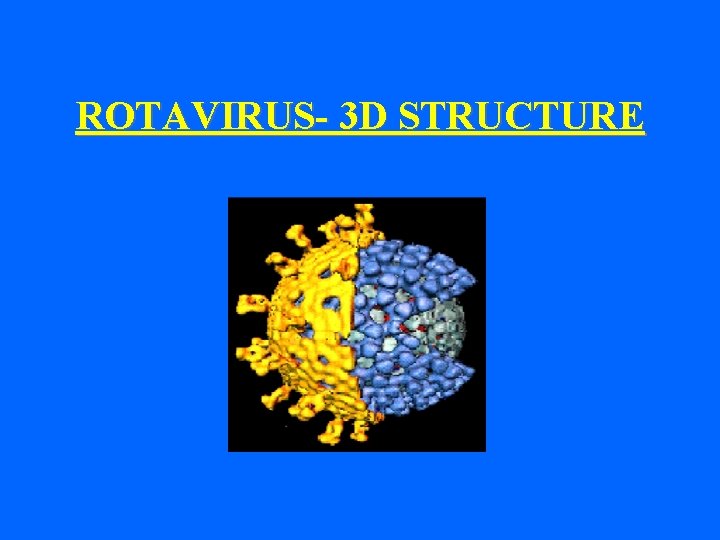 ROTAVIRUS- 3 D STRUCTURE 
