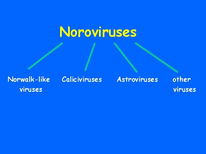 Noroviruses Norwalk-like viruses Caliciviruses Astroviruses other viruses 