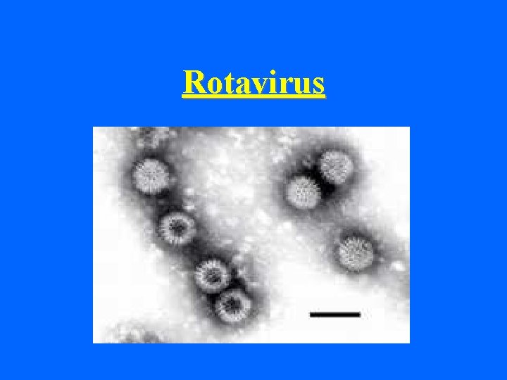 Rotavirus 
