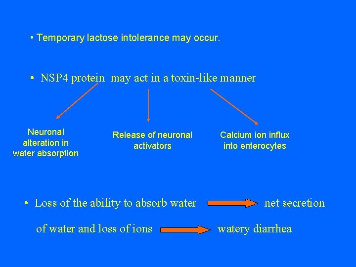  • Temporary lactose intolerance may occur. • NSP 4 protein may act in