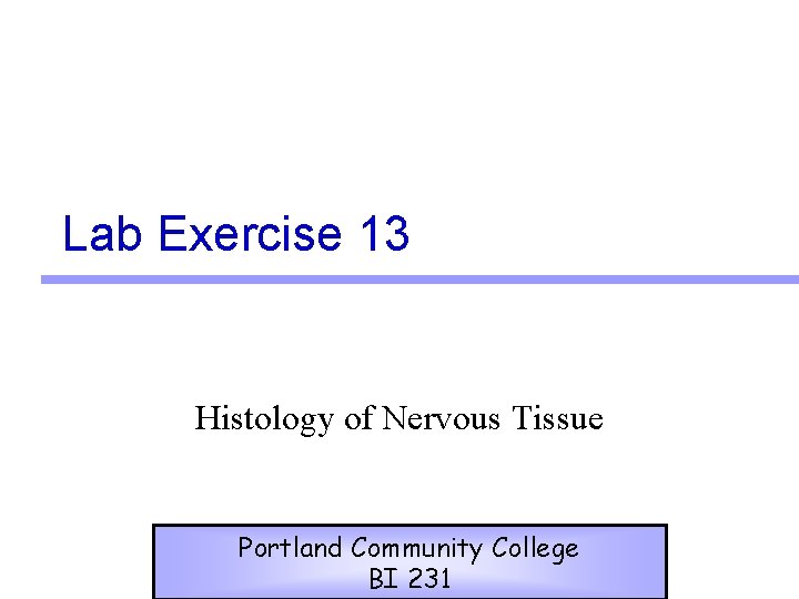 Lab Exercise 13 Histology of Nervous Tissue Portland Community College BI 231 