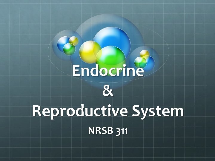 Endocrine & Reproductive System NRSB 311 