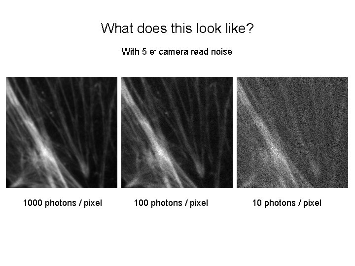 What does this look like? With 5 e- camera read noise 1000 photons /