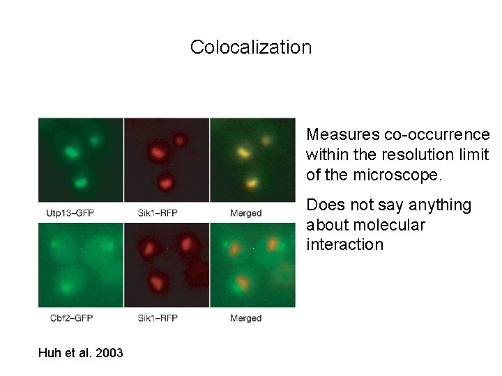 Colocalization Measures co-occurrence within the resolution limit of the microscope. Does not say anything