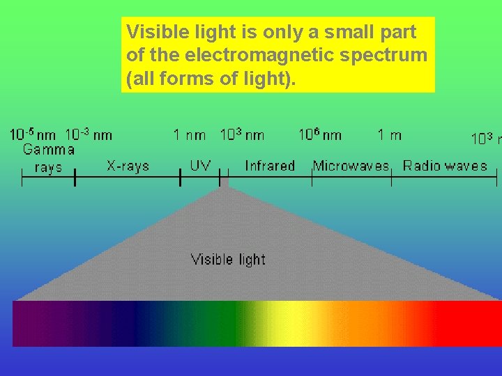Visible light is only a small part of the electromagnetic spectrum (all forms of