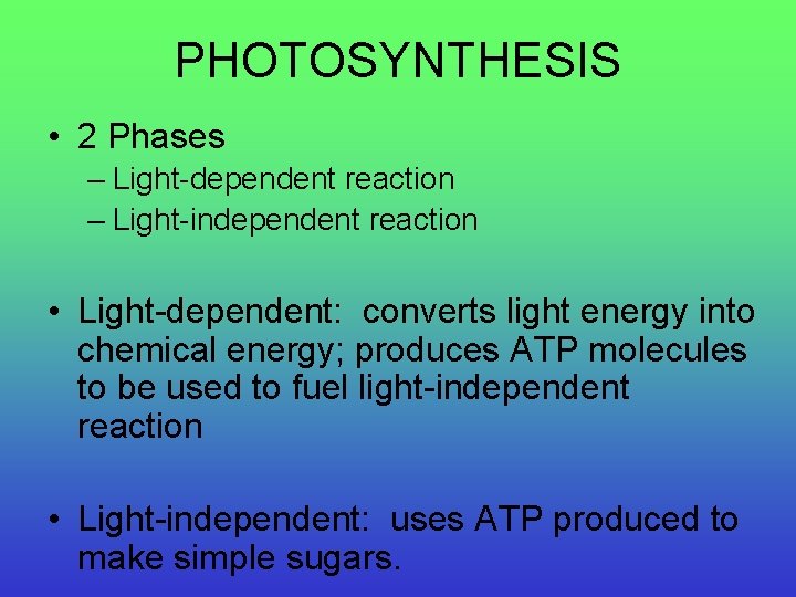 PHOTOSYNTHESIS • 2 Phases – Light-dependent reaction – Light-independent reaction • Light-dependent: converts light