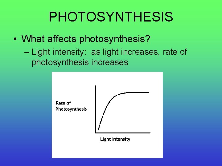 PHOTOSYNTHESIS • What affects photosynthesis? – Light intensity: as light increases, rate of photosynthesis