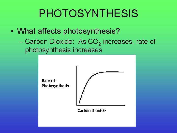 PHOTOSYNTHESIS • What affects photosynthesis? – Carbon Dioxide: As CO 2 increases, rate of