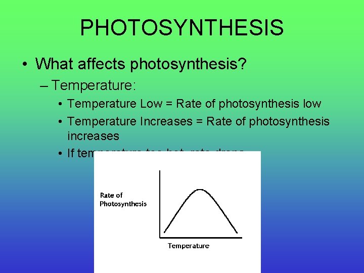 PHOTOSYNTHESIS • What affects photosynthesis? – Temperature: • Temperature Low = Rate of photosynthesis