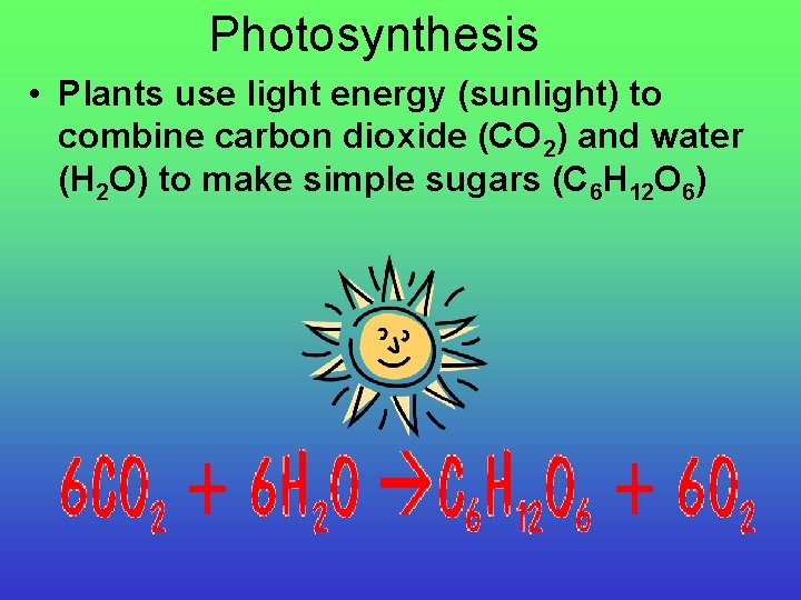 Photosynthesis • Plants use light energy (sunlight) to combine carbon dioxide (CO 2) and