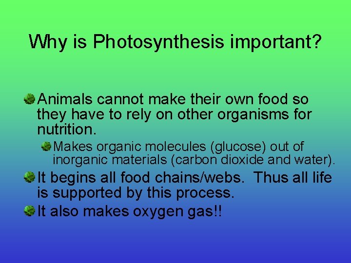 Why is Photosynthesis important? Animals cannot make their own food so they have to