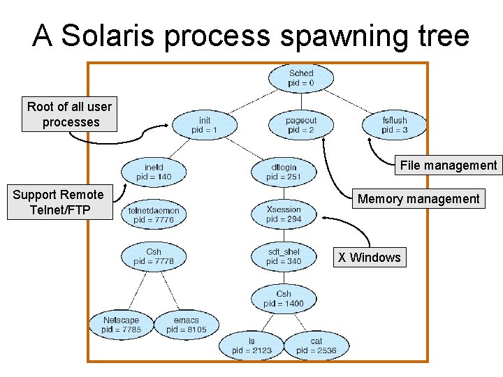 A Solaris process spawning tree Root of all user processes File management Support Remote