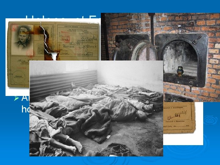 Holocaust Facts and Images Ø Religious Genocide (Mass Murder of Jews) Ø Around 6 Holocaust Facts and Images Ø Religious Genocide (Mass Murder of Jews) Ø Around 6