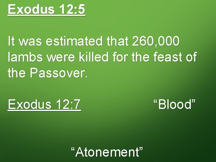 Exodus 12: 5 It was estimated that 260, 000 lambs were killed for the