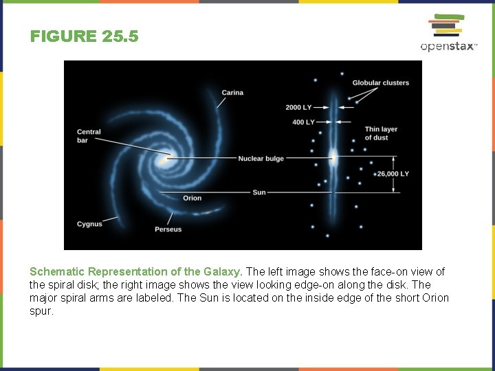 FIGURE 25. 5 Schematic Representation of the Galaxy. The left image shows the face-on