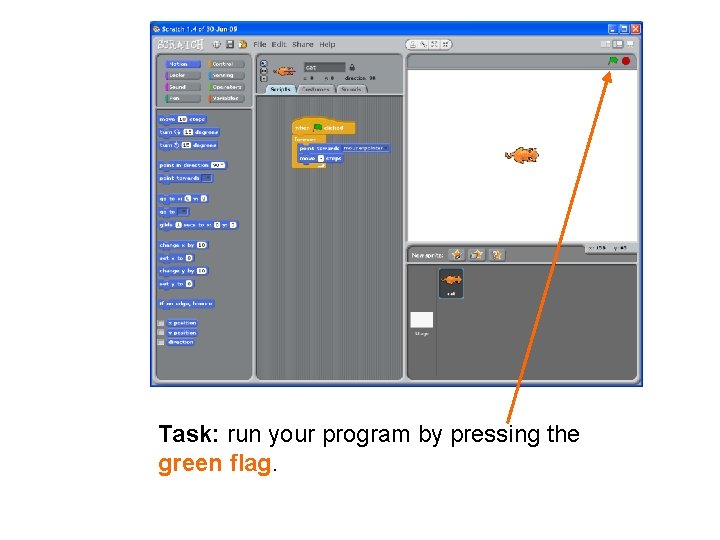 Task: run your program by pressing the green flag. 