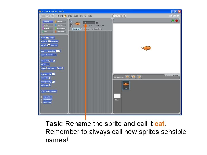 Task: Rename the sprite and call it cat. Remember to always call new sprites