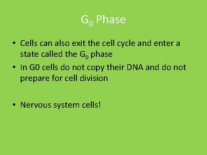 G 0 Phase • Cells can also exit the cell cycle and enter a