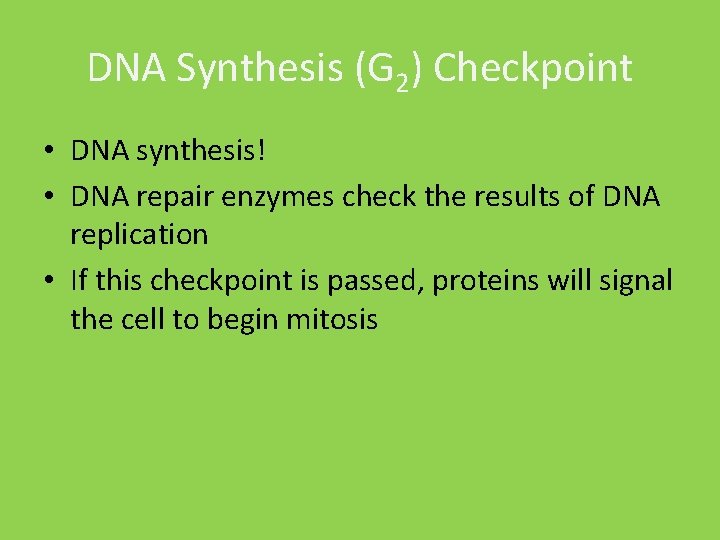 DNA Synthesis (G 2) Checkpoint • DNA synthesis! • DNA repair enzymes check the