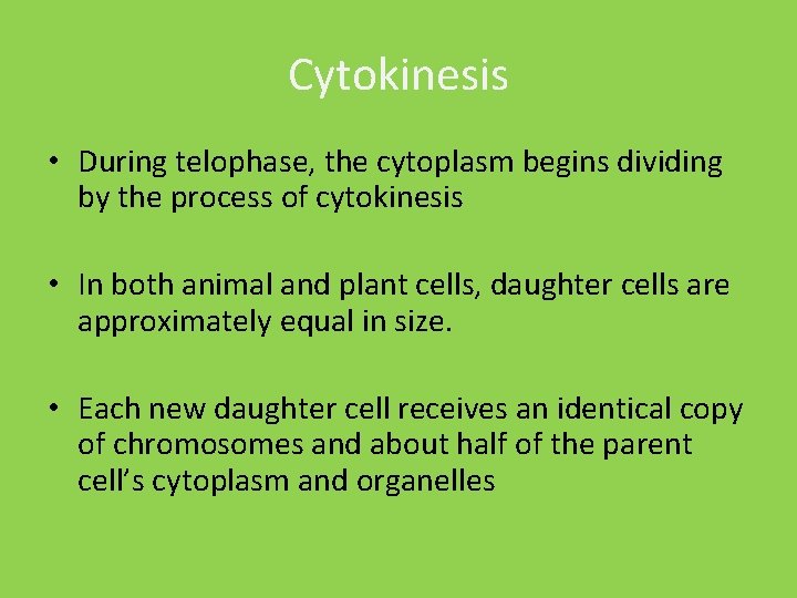 Cytokinesis • During telophase, the cytoplasm begins dividing by the process of cytokinesis •