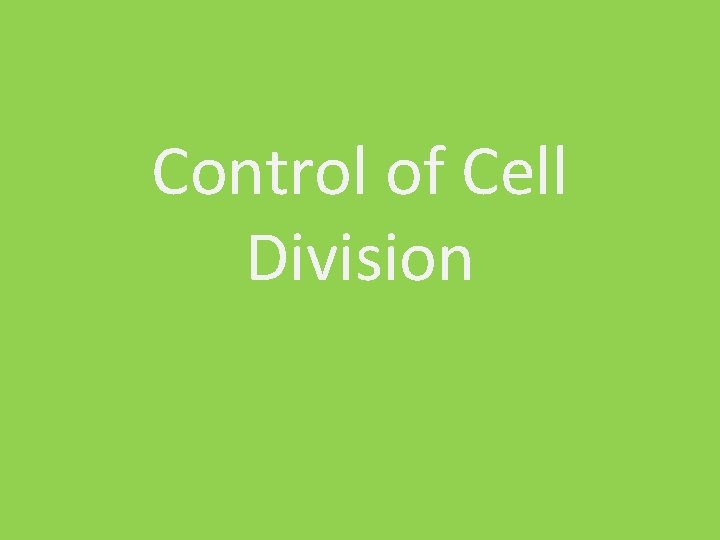 Control of Cell Division 