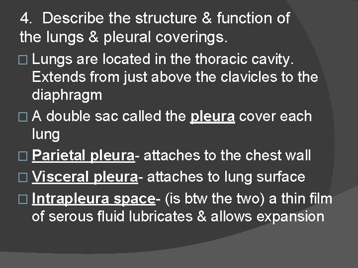 4. Describe the structure & function of the lungs & pleural coverings. � Lungs