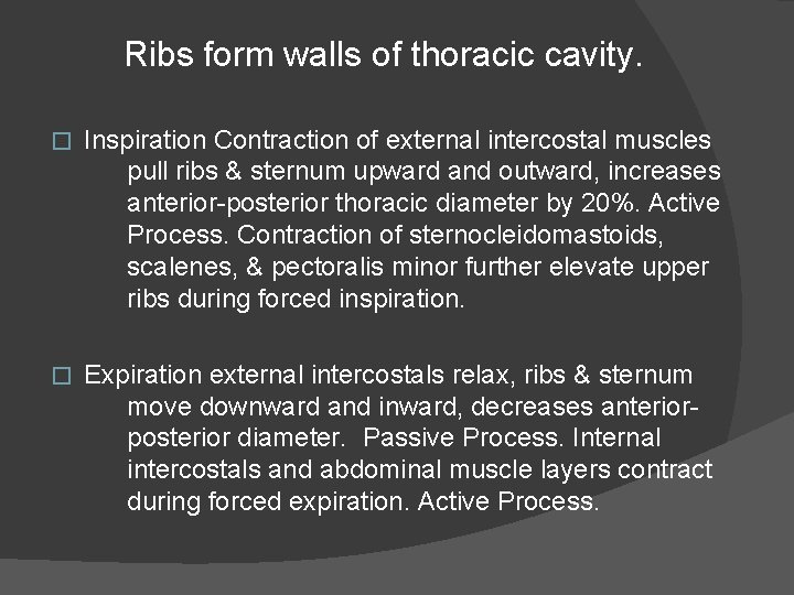 Ribs form walls of thoracic cavity. � Inspiration Contraction of external intercostal muscles pull