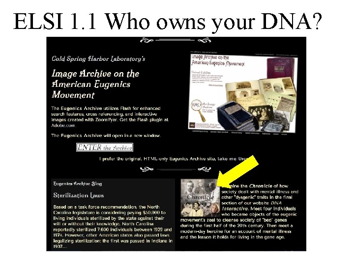 ELSI 1. 1 Who owns your DNA? 