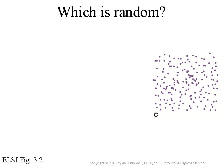 Which is random? ELSI Fig. 3. 2 Copyright © 2015 by AM Campbell, LJ