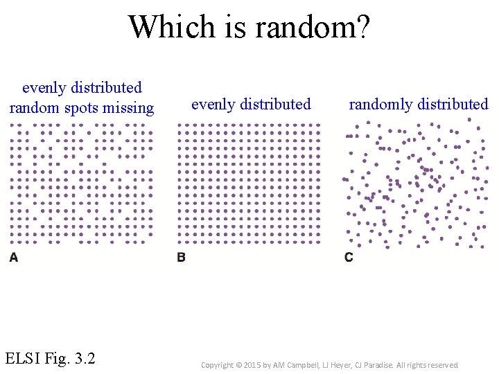 Which is random? evenly distributed random spots missing ELSI Fig. 3. 2 evenly distributed