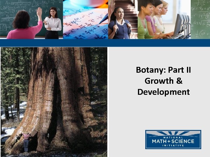 Botany: Part II Growth & Development 