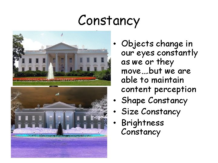 Constancy • Objects change in our eyes constantly as we or they move…. but