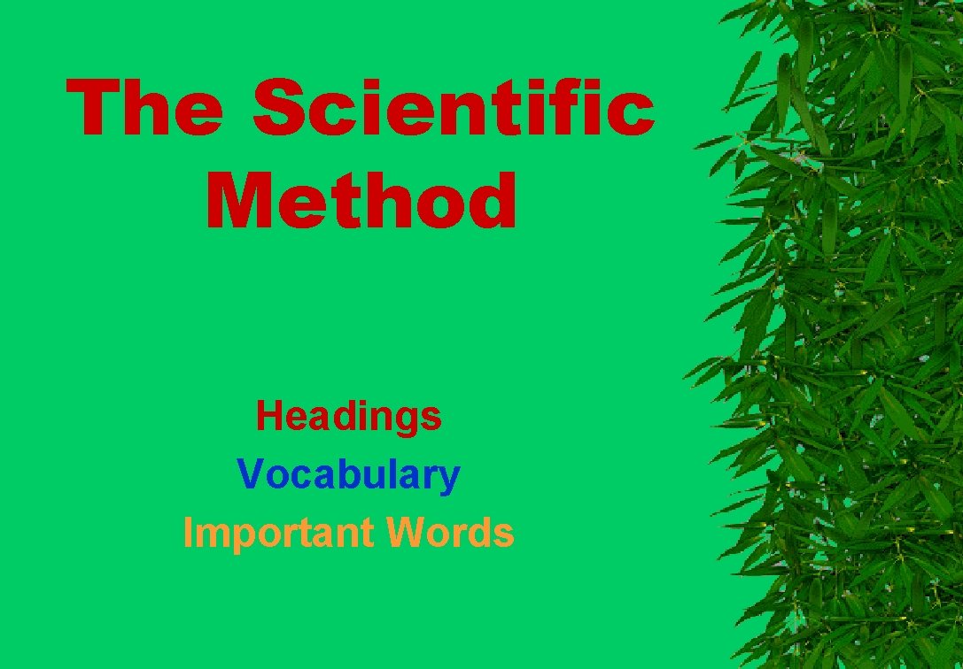 The Scientific Method Headings Vocabulary Important Words 