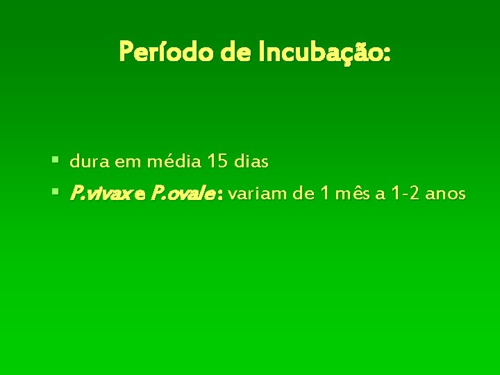 Período de Incubação: § dura em média 15 dias § P. vivax e P.