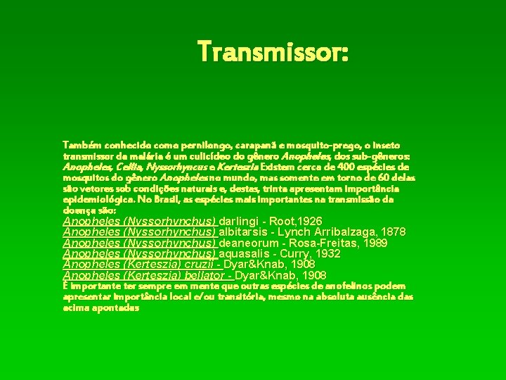 Transmissor: Também conhecido como pernilongo, carapanã e mosquito-prego, o inseto transmissor da malária é