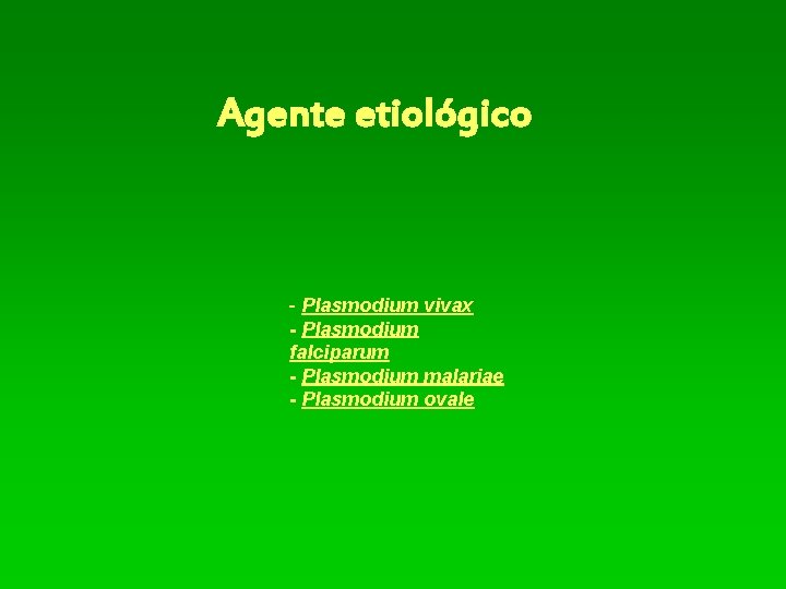 Agente etiológico - Plasmodium vivax - Plasmodium falciparum - Plasmodium malariae - Plasmodium ovale