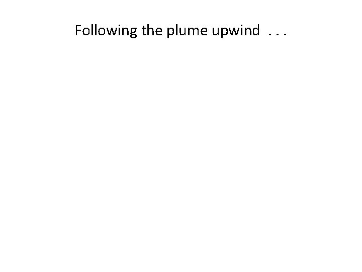 Following the plume upwind. . . 