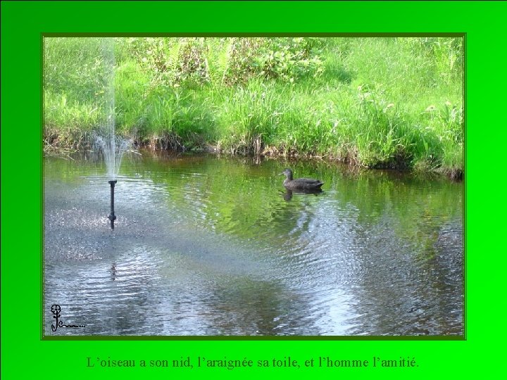 L’oiseau a son nid, l’araignée sa toile, et l’homme l’amitié. 