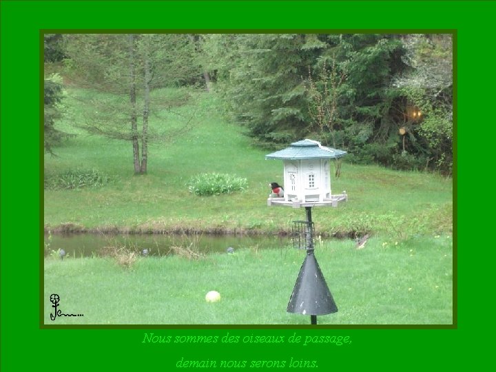 Nous sommes des oiseaux de passage, demain nous serons loins. 