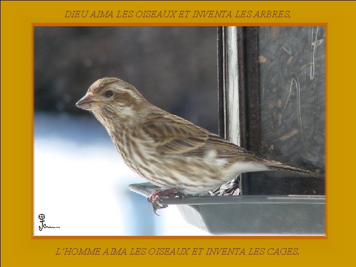DIEU AIMA LES OISEAUX ET INVENTA LES ARBRES, L’HOMME AIMA LES OISEAUX ET INVENTA