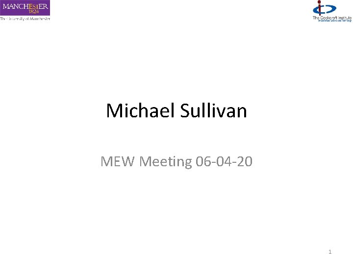 Michael Sullivan MEW Meeting 06 -04 -20 1 