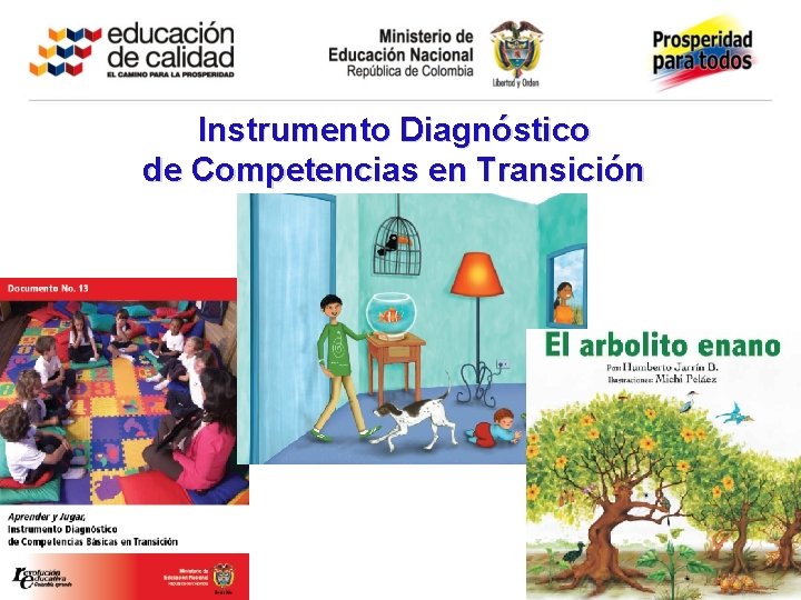 Instrumento Diagnóstico de Competencias en Transición 